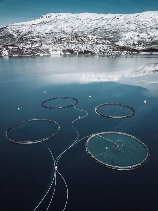 ▲位于挪威的三文鱼养殖场。 来源：视觉中国